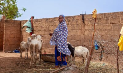 noodhulp Burkina Faso