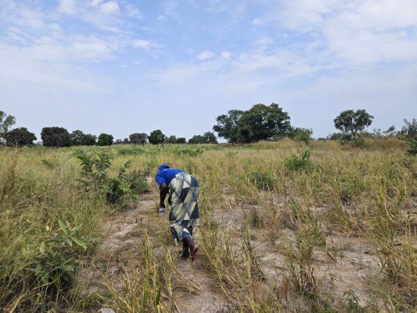 Johana Bengna op haar akker.